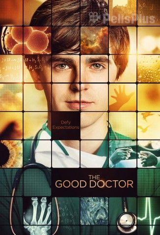 The Good Doctor Temporada 2 Capitulo 17 Latino