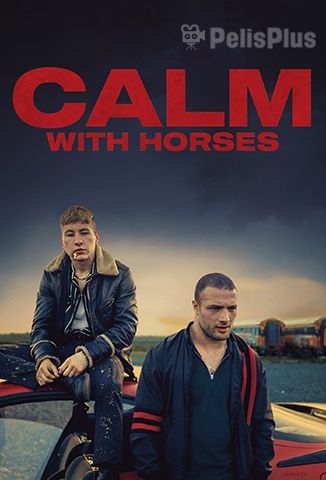 Calm With Horses